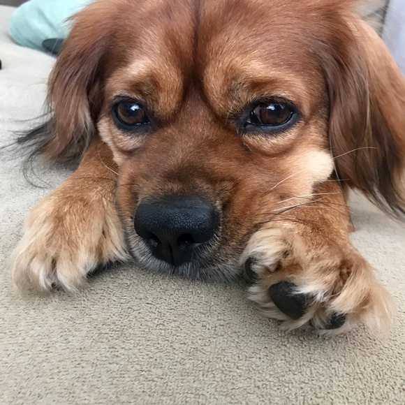 Meet your Posher, Amanda - Picture 6 of 8